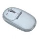 Mouse �ptico Transparente - PS2